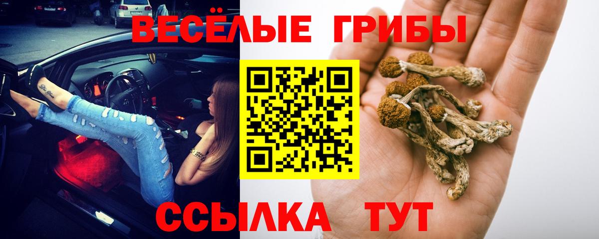 Галлюциногенные грибы прущие грибы  Галлюциногенные грибы мицелий  Ижевск  Вход с VPN 